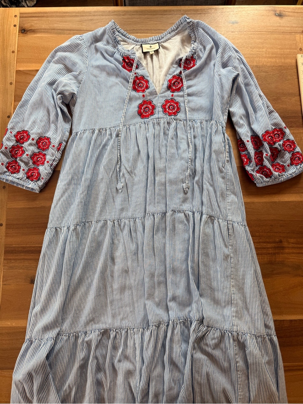 Tuckernuck Light Blue Pinstripe Maxi Dress with Red Floral Embroidery